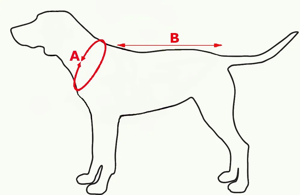 sled maß sali abbildung
